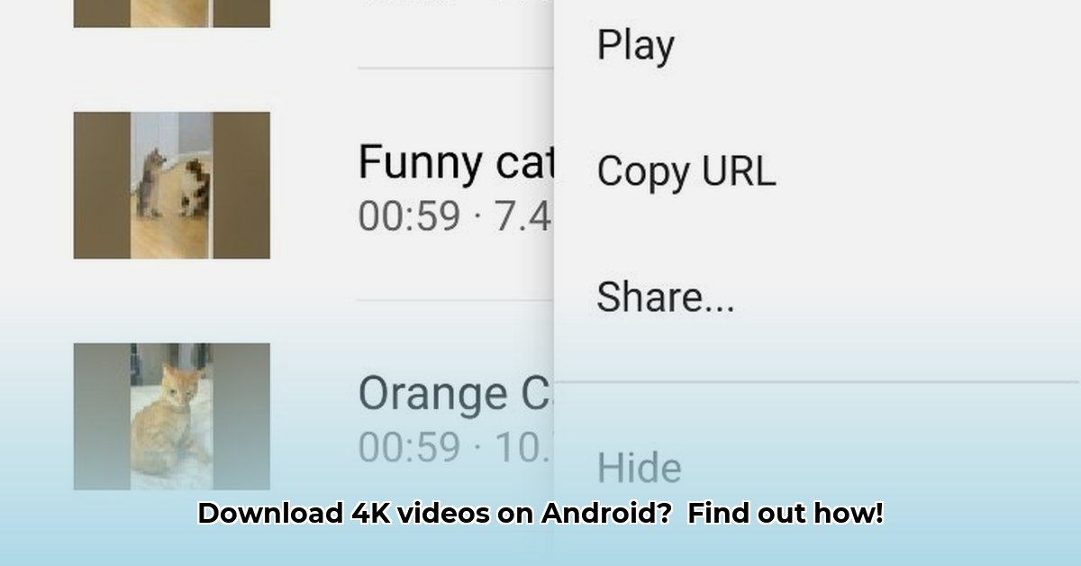 4k-video-downloader-for-android